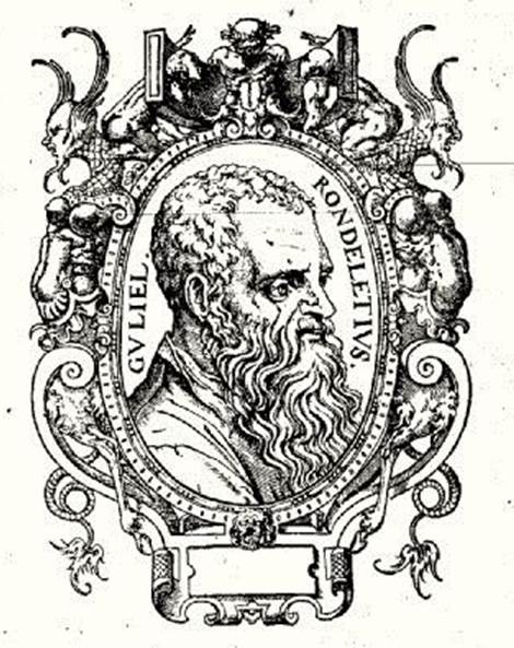 Fig. 1 Woodcut portrait of Guillaume Rondelet, from his work Libri de Piscibus Marinis (1554).